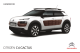 C4 Cactus - 2014